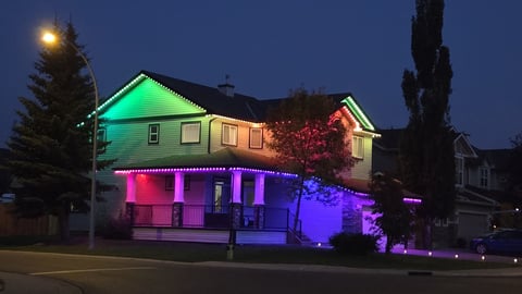 House illuminated with neon green, pink, and purple lights at dusk, surrounded by evergreen trees